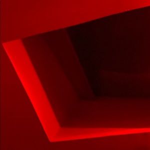 Meet your Posher, Vincent